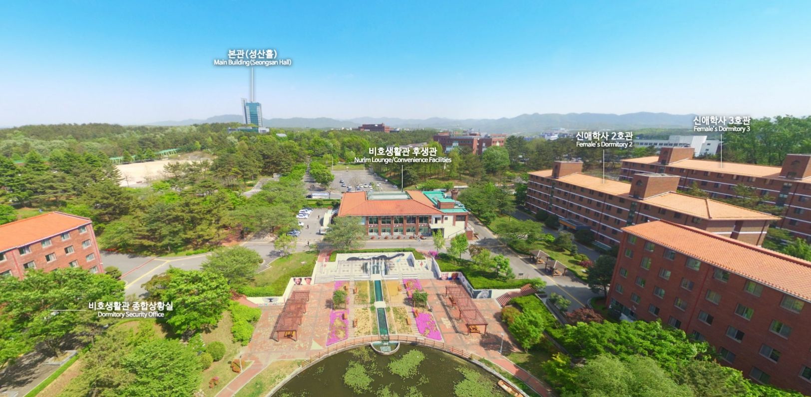 Daegu College