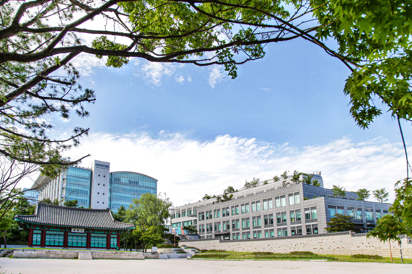 Gyeongbuk Science University