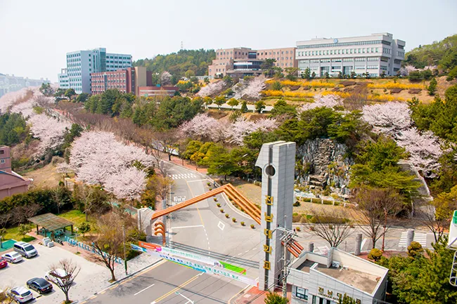 Yeosu University